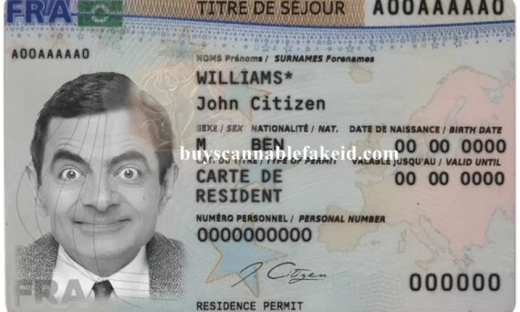 France NEW Fake Residence Permit Card